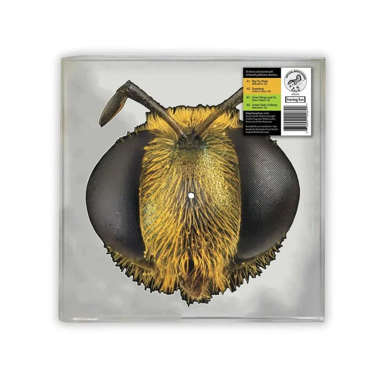 NEW - King Gizzard & The Lizard Wizard, Big Fig Wasp (Coloured) LP - RSd2026