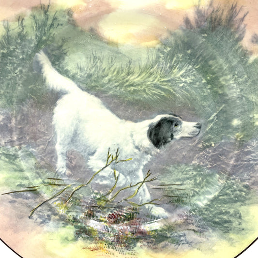 Vintage Royal Doulton English Setter Plate D.6313 - 26cm