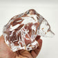 Vintage Orrefors Crystal Glass Bear - 13cm