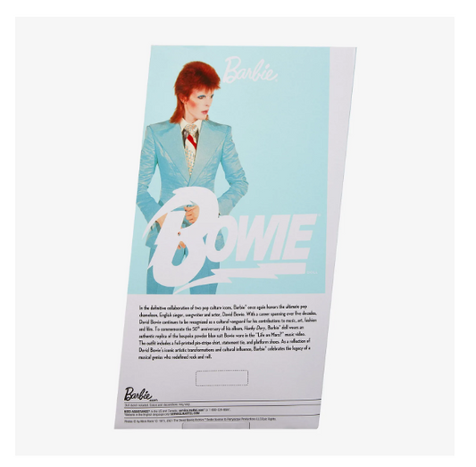 2022 David Bowie Collector Barbie (Limited Ed) - 12"