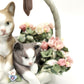 Adorable Lladro Porcelain 'Purr-Fect' Cats in Basket - 13cm