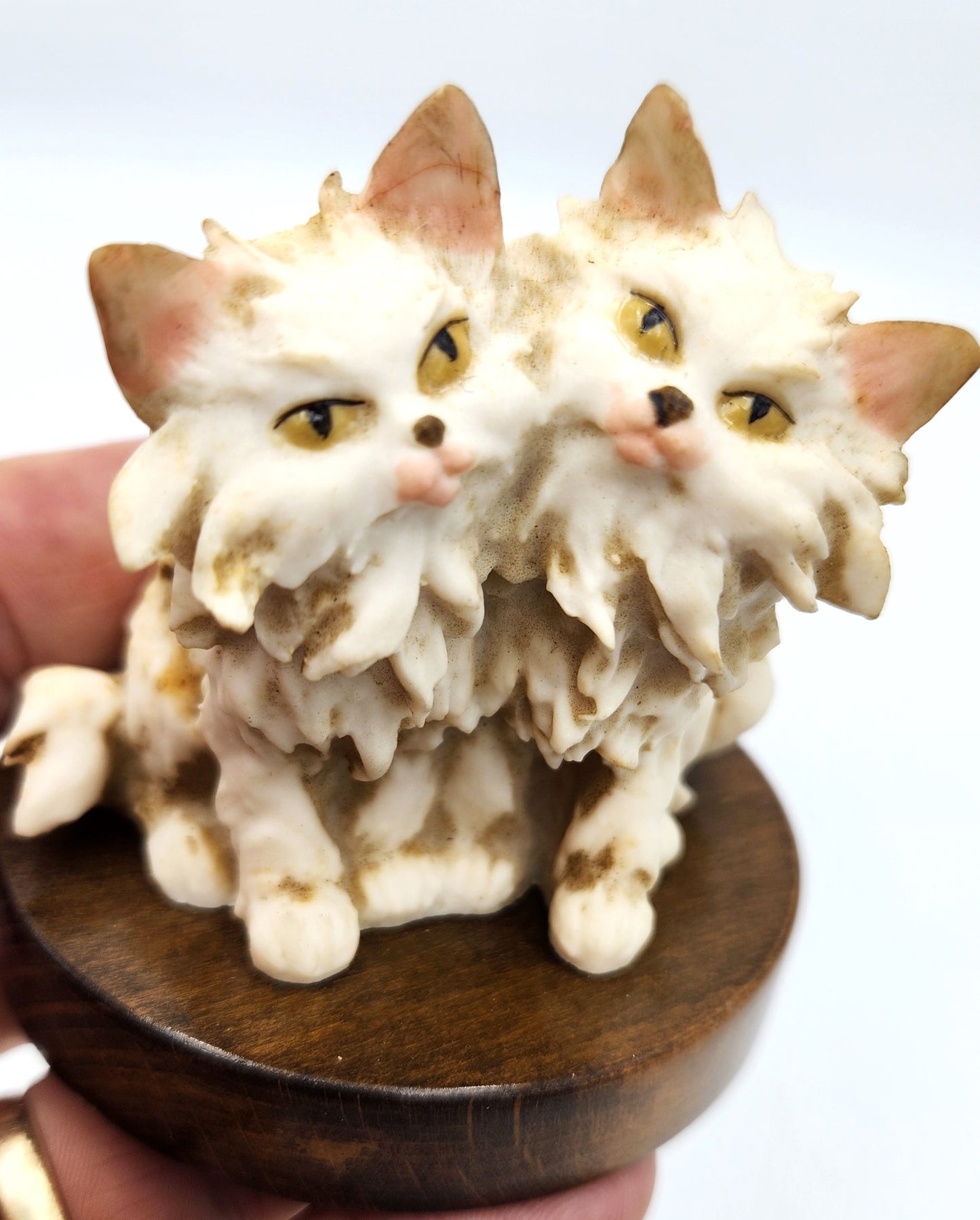 Resin Kitty Cats and Italian Timber Trinket Box - 10cm