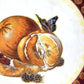 Vintage Rosenthal 'Oranges' Bread & Butter Plate - 21cm