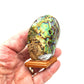 Pair of New Zealand Paua Shell Salt and Pepper Shakers - 8cm