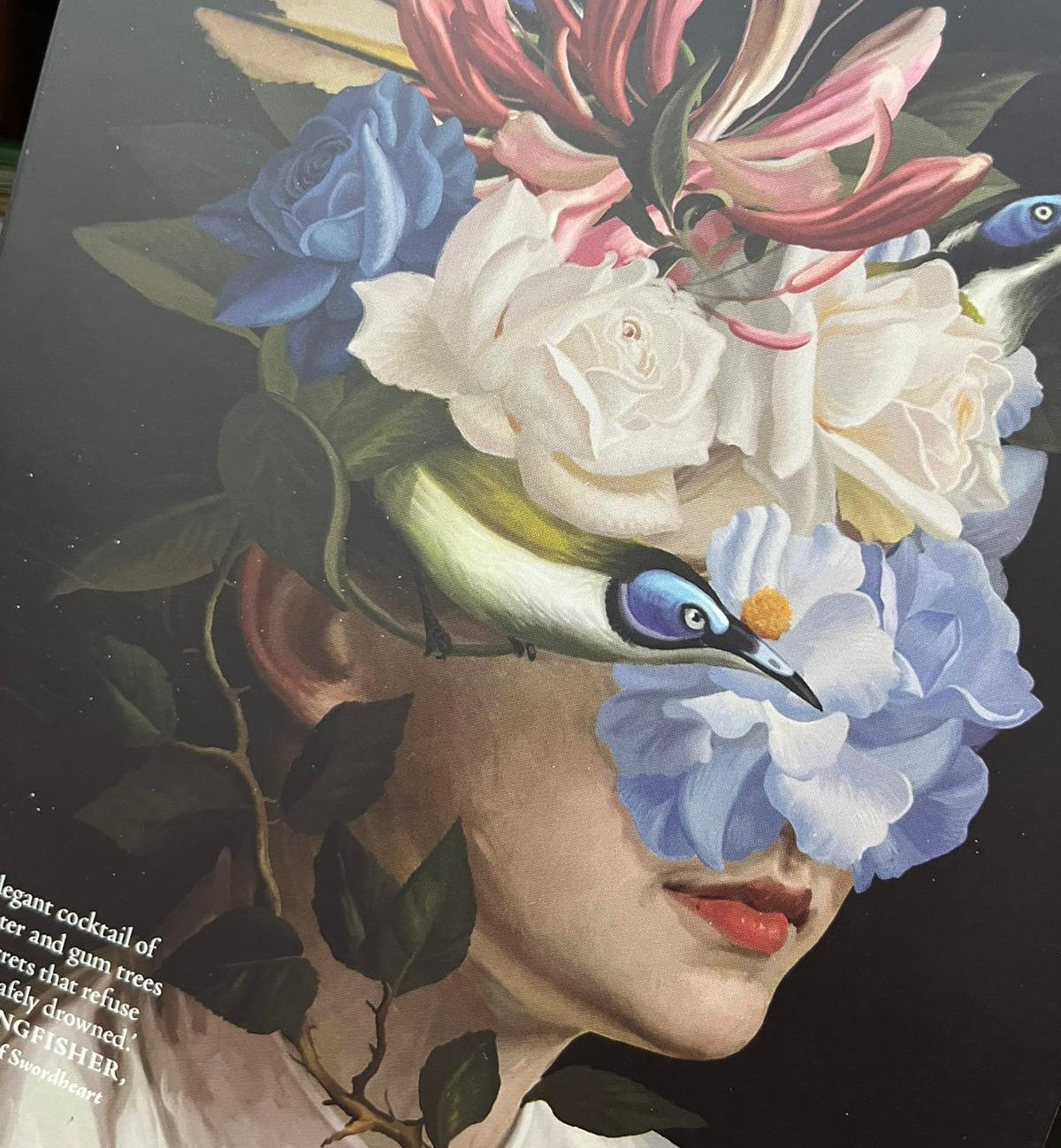 Paperback - Honeyeater, Kathleen Jennings - 260 Pages