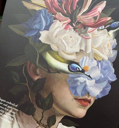 Paperback - Honeyeater, Kathleen Jennings - 260 Pages