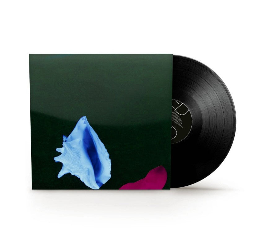 NEW - New Order, Touched By the Hand of God 12"