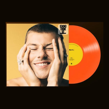 NEW - Ruel, Cats On the Ceiling / Made it Awkward 12" - RSD2025