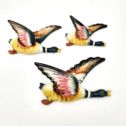 Set of 3 Ceramic Wall Birds - 17cm