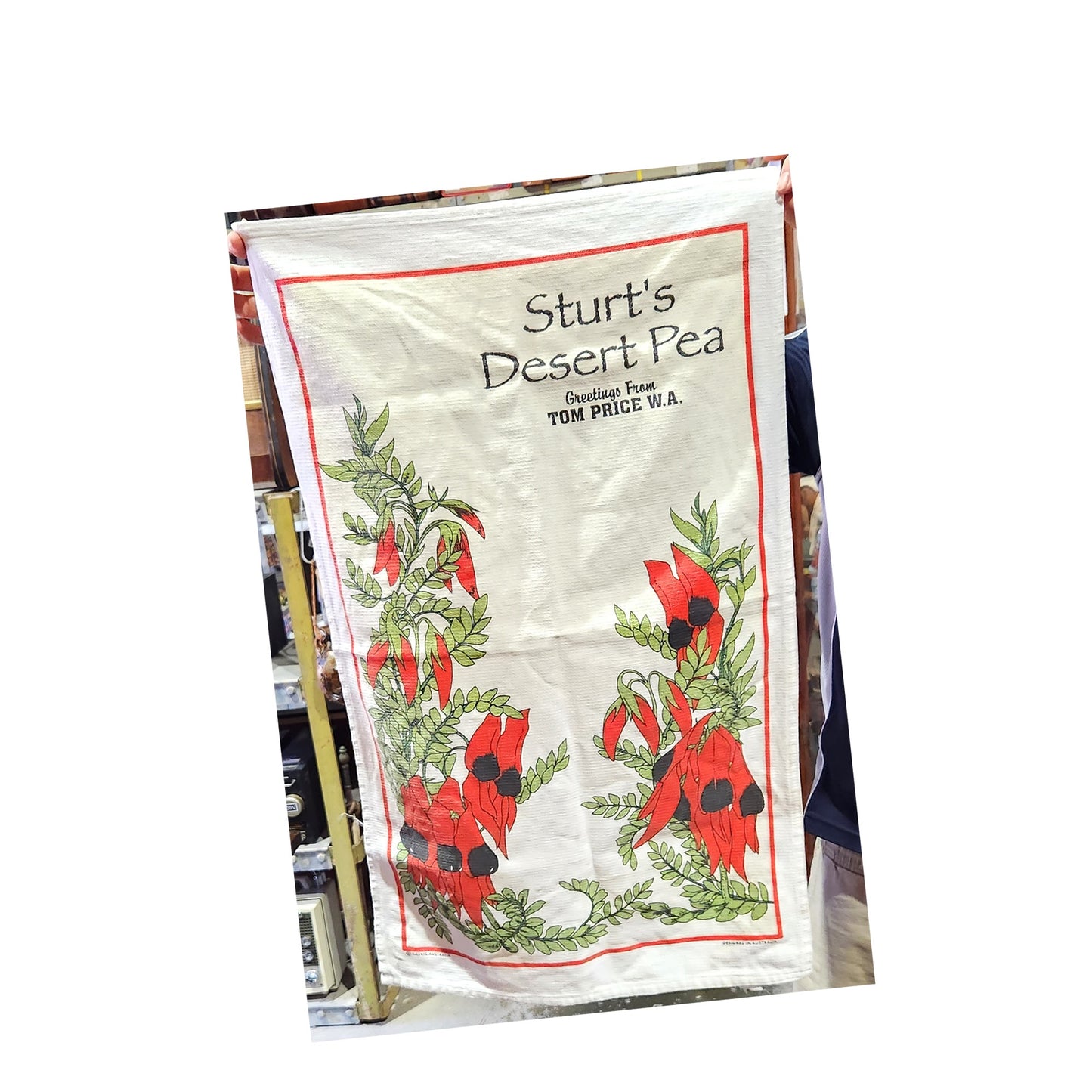 Tea Towel - 'Sturt's Desert Pea Greetings from Tom Price W.A' - 73cm