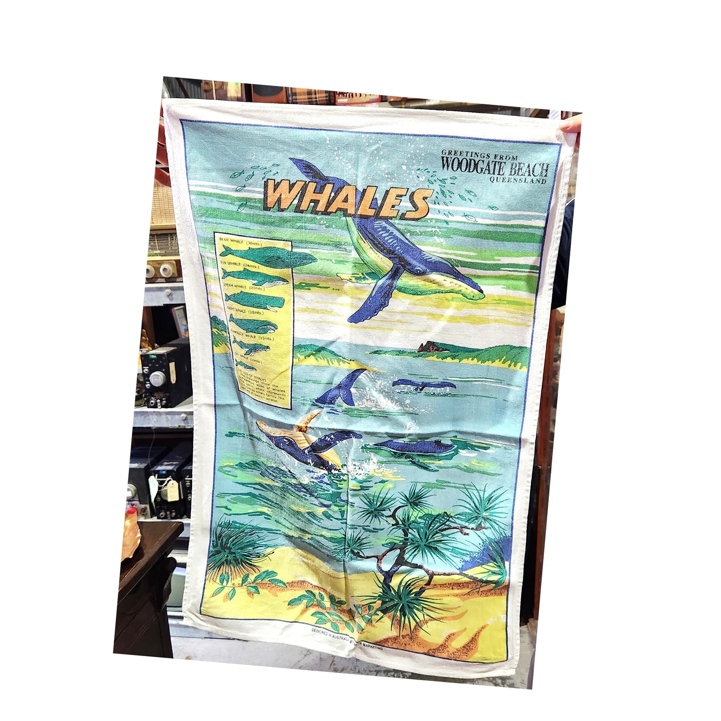 Tea Towel - 'Greetings from Woodgate Beach Queensland - Whales' -  70cm