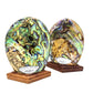 Pair of New Zealand Paua Shell Salt and Pepper Shakers - 8cm