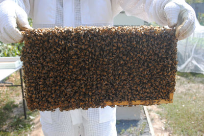 Arborwood Local Honey - 1 Kg