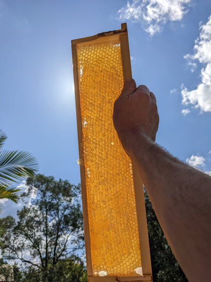 Arborwood Local Honey - 1 Kg