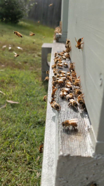 Arborwood Local Honey - 1 Kg