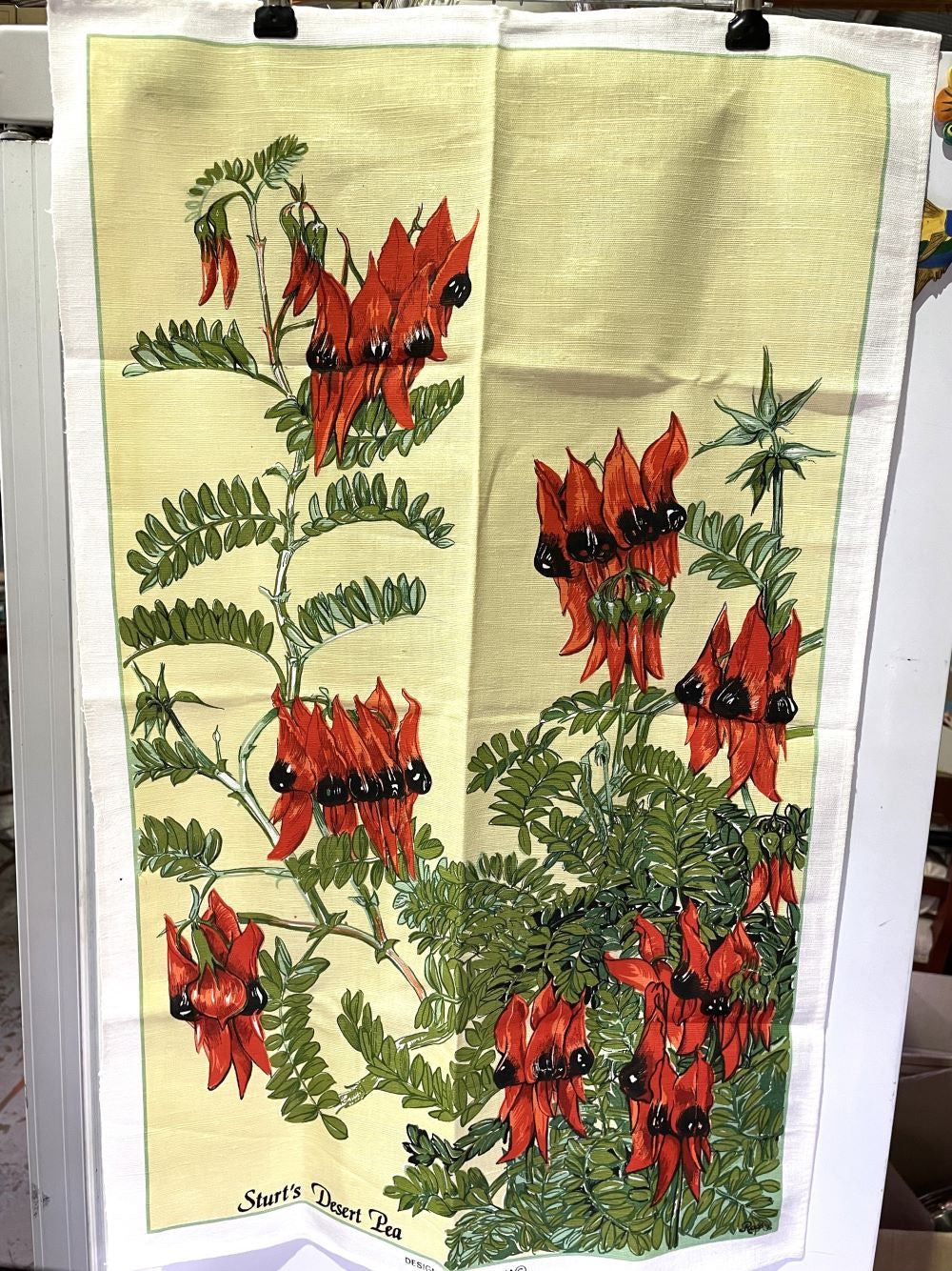 Sturt's Desert Pea Tea Towel