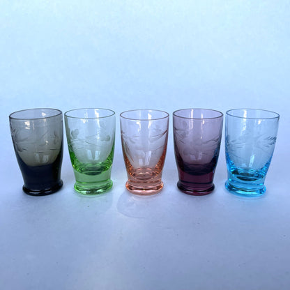 5 Colourful Shot Glasses