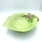 Carlton Ware 'Foxglove' Green 1870 Salad Bowl - 28cm
