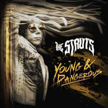 NEW - Struts (The), Young and Dangerous Gold LP